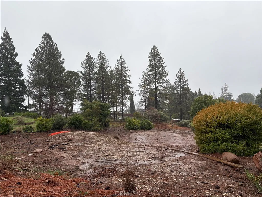 Paradise, CA 95969