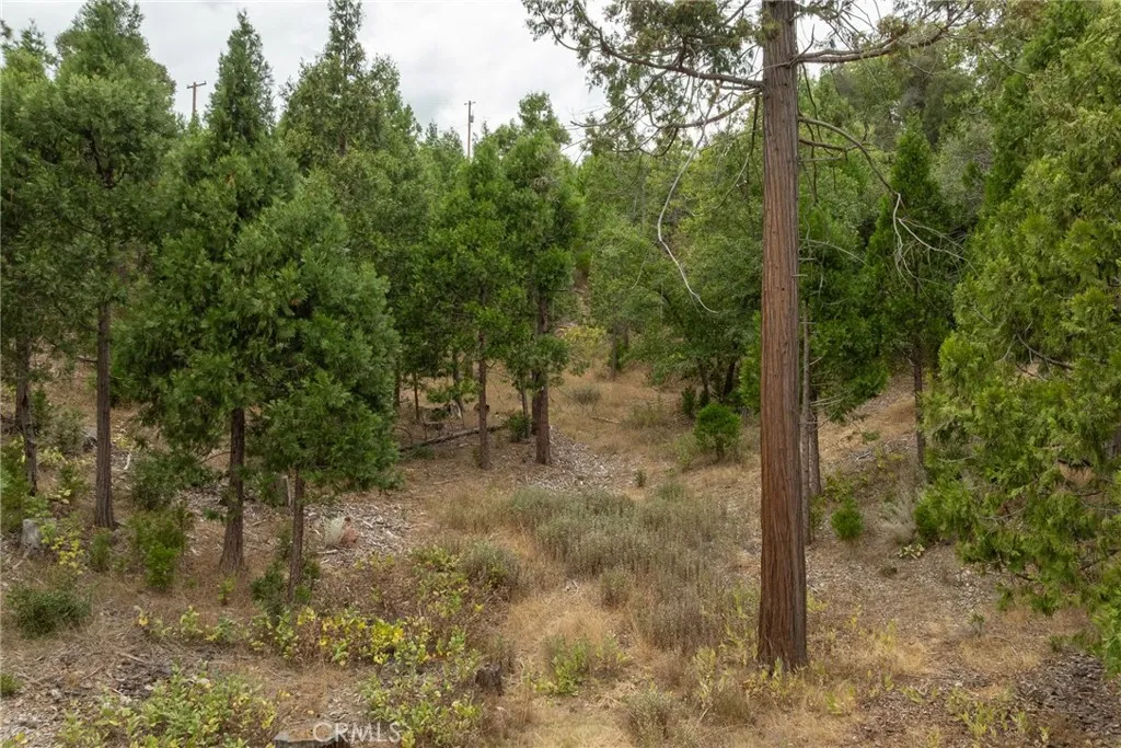 26 Timberview, North Fork, CA 93643 - Photo 2 of 35, North Fork, CA