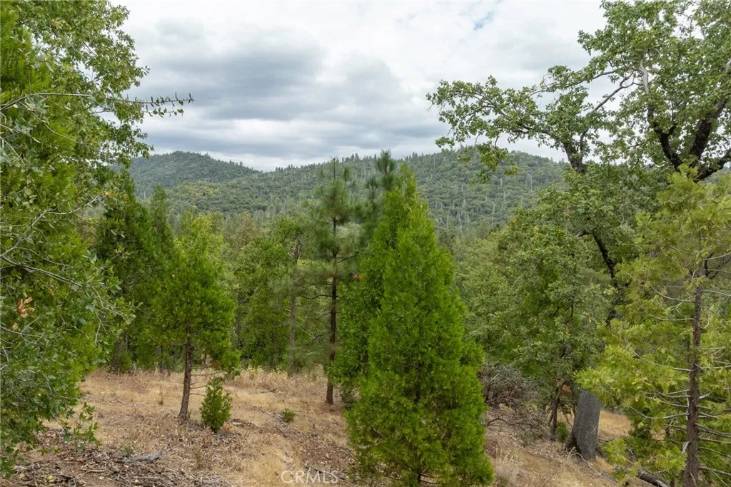 26 Timberview, North Fork, CA 93643 - Photo 5 of 35, North Fork, CA