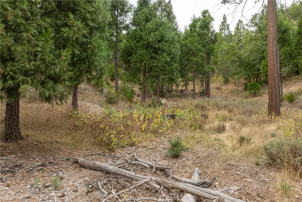 26 Timberview, North Fork, CA 93643 - Photo 3 of 35, North Fork, CA