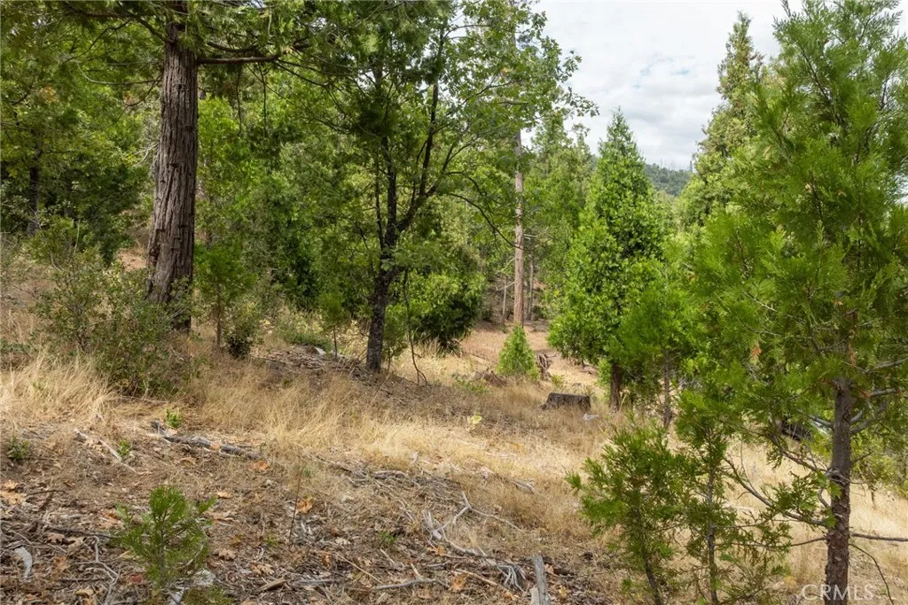 26 Timberview, North Fork, CA 93643 - Photo 4 of 35, North Fork, CA