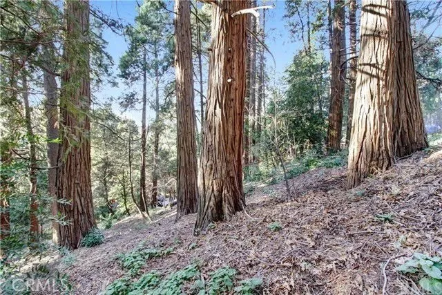 Crestline, CA 92325