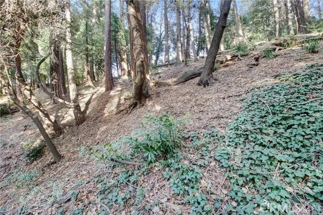 Crestline, CA 92325