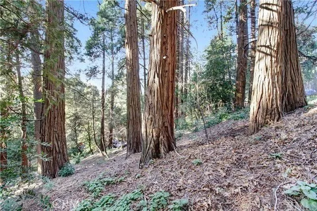 2661 Scenic, Crestline, CA, 92325