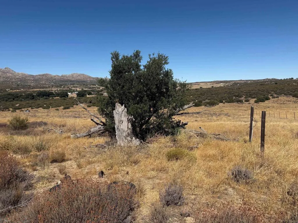 0 Montezuma Valley Road, Ranchita, CA 92066 - Photo 3 of 14, Ranchita, CA