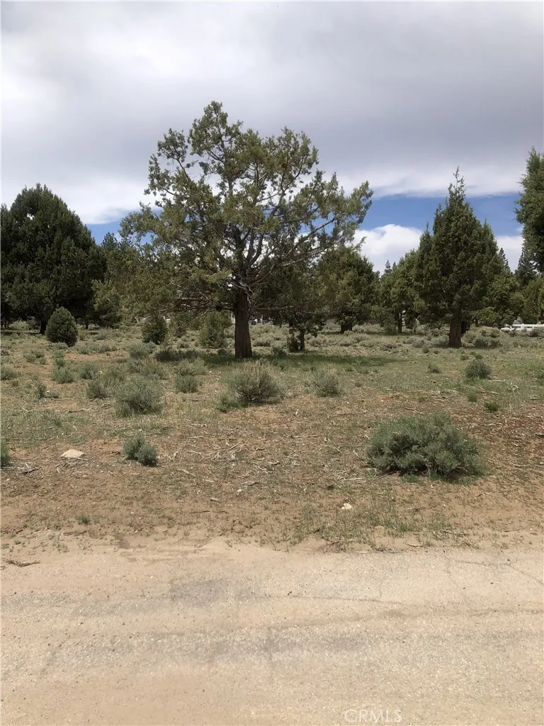 0 West, Big Bear City, CA 92314 - Photo 4 of 5, Big Bear City, CA