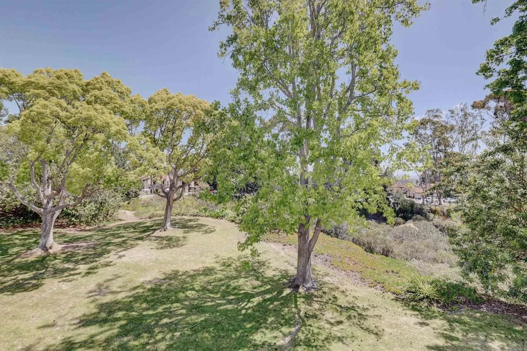 Photo #37: NDP2600135 Listing: Photo #37