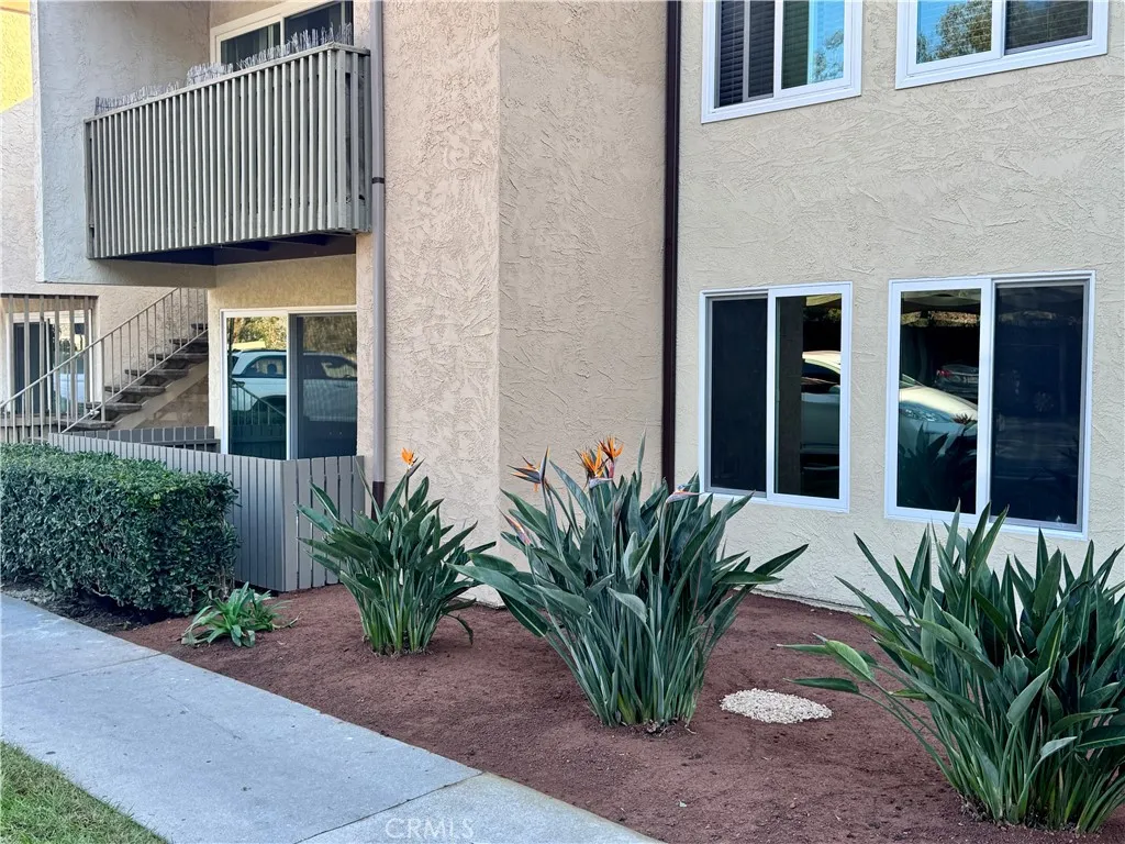 Photo #28: SW25269818 Listing: Photo #28