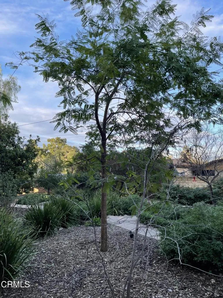 66 Grapevine Road, Oak View, CA - Photo 4 of 22, Oak View, CA
