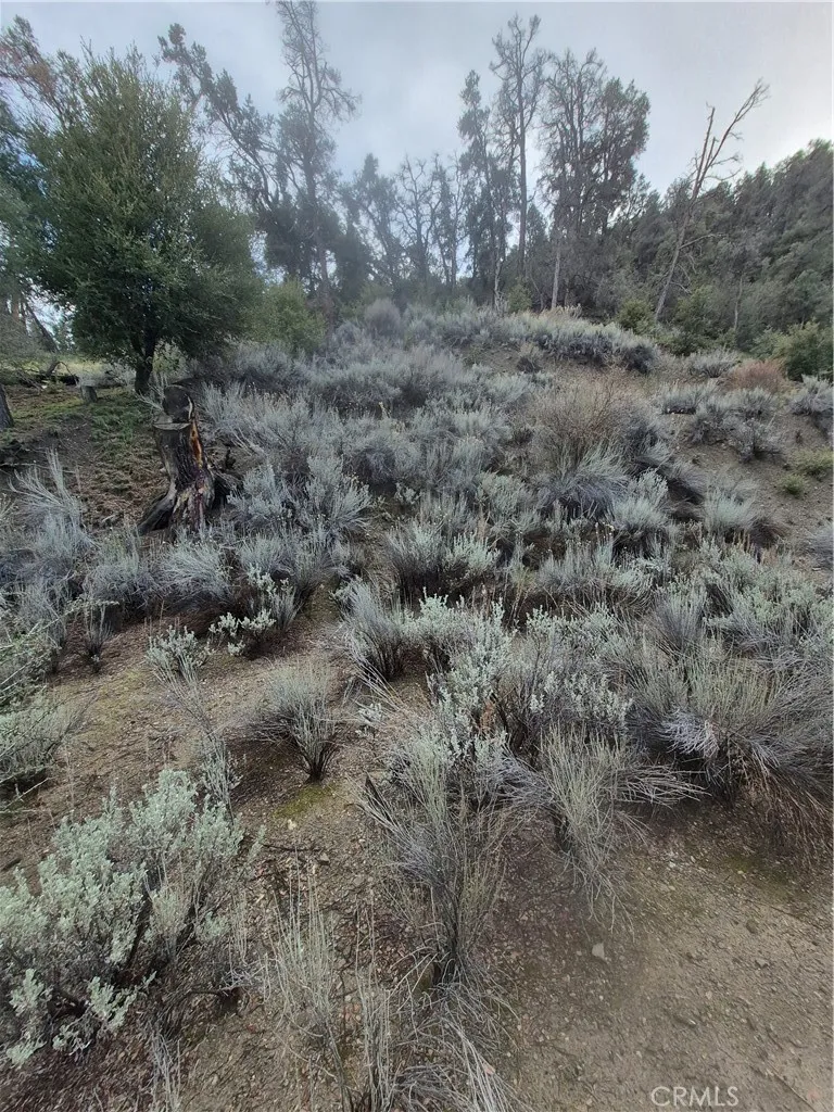 Pine Mountain Club, CA 93222