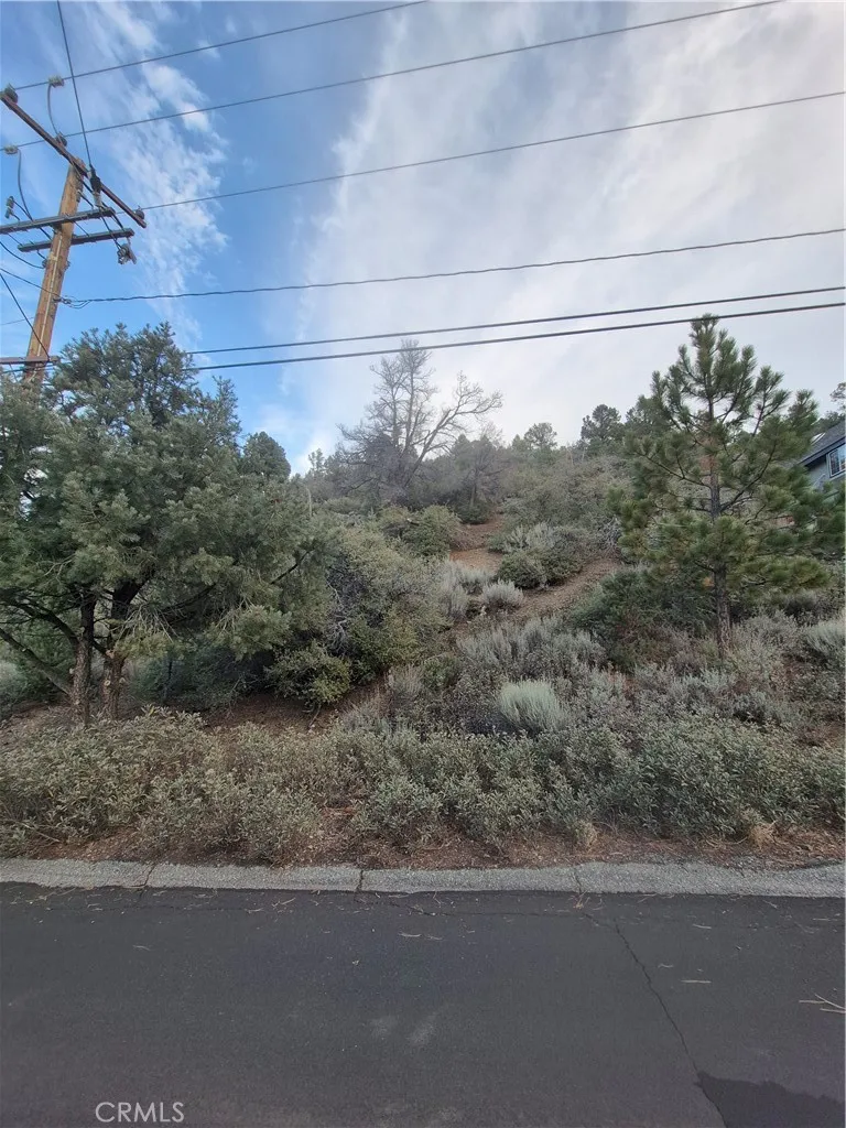 Pine Mountain Club, CA 93222