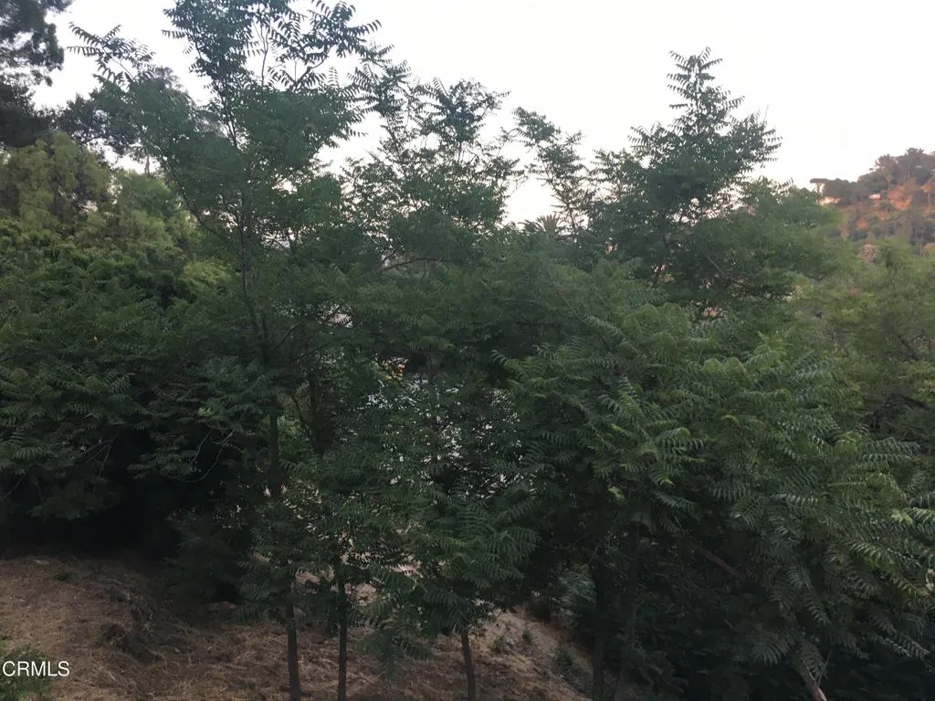 Earl Apn 5422-009-040, Los Angeles, CA 90039 - Main photo, Los Angeles, CA