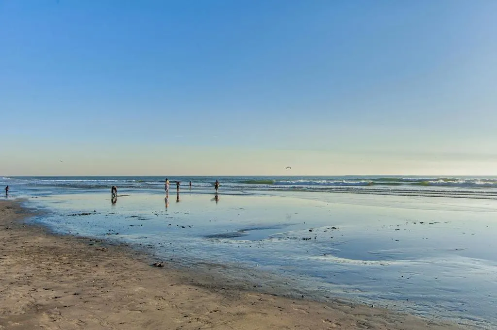 Photo #54: NDP2600393 Listing: Photo #54