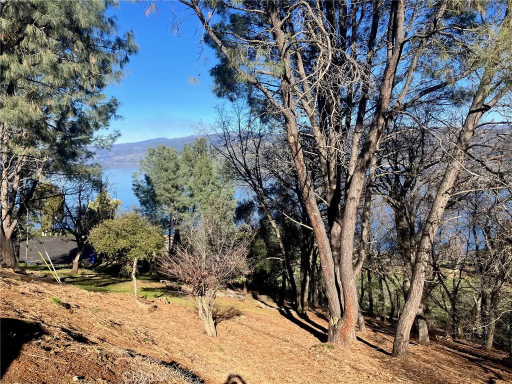 3050 Riviera Heights, Kelseyville, CA 95451 - Photo 2 of 8, Kelseyville, CA