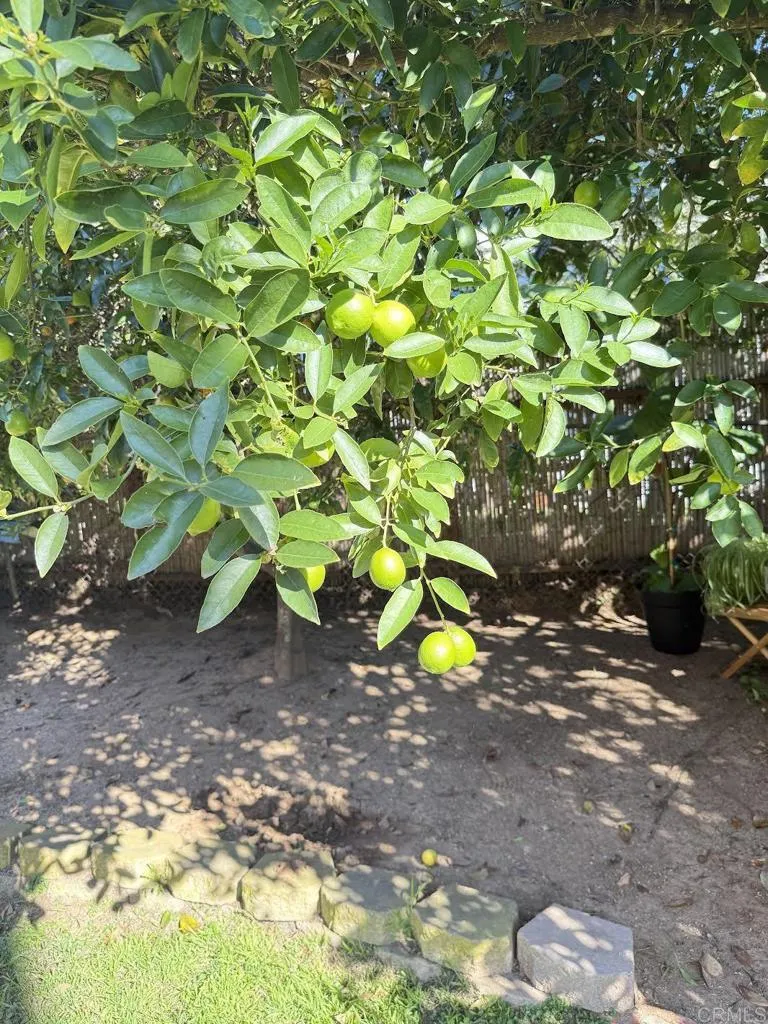 Photo #36: NDP2600453 Listing: Photo #36