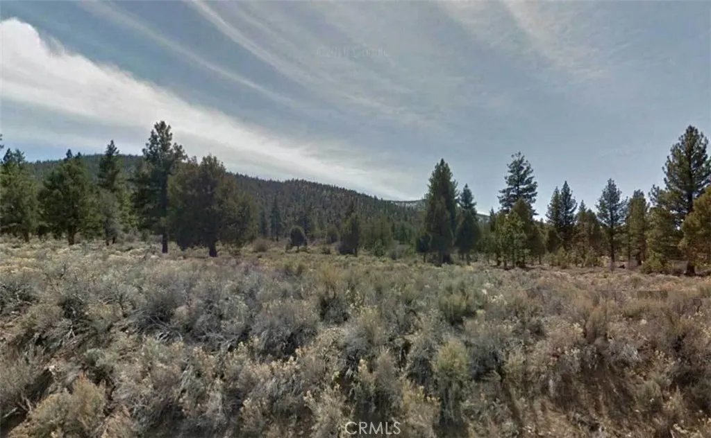 0 Avenue E, Big Bear, CA 92314 - Photo 5 of 5, Big Bear, CA