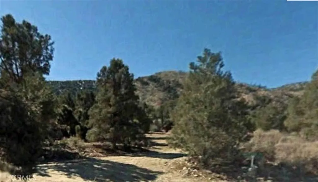 0 Avenue E, Big Bear, CA 92314 - Photo 4 of 5, Big Bear, CA