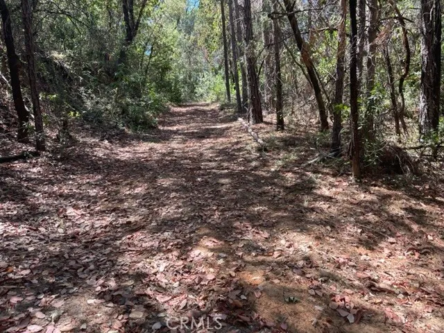 12 Broken Springs, Oroville, CA 95966 - Photo 3 of 8, Oroville, CA