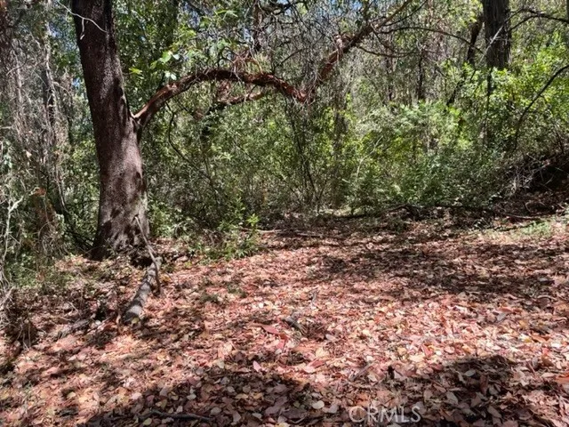 12 Broken Springs, Oroville, CA 95966 - Photo 4 of 8, Oroville, CA