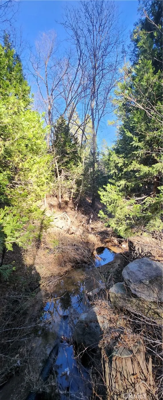 0 Meadow, Lake Arrowhead, CA 92352 - Photo 2 of 6, Lake Arrowhead, CA