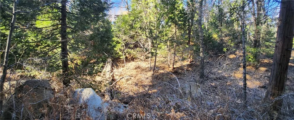 0 Meadow, Lake Arrowhead, CA 92352 - Photo 4 of 6, Lake Arrowhead, CA