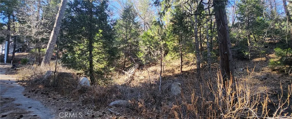 0 Meadow, Lake Arrowhead, CA 92352 - Photo 3 of 6, Lake Arrowhead, CA