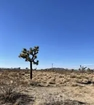 0 Gibraltar, Landers, CA 92285 - Photo 2 of 51, Landers, CA