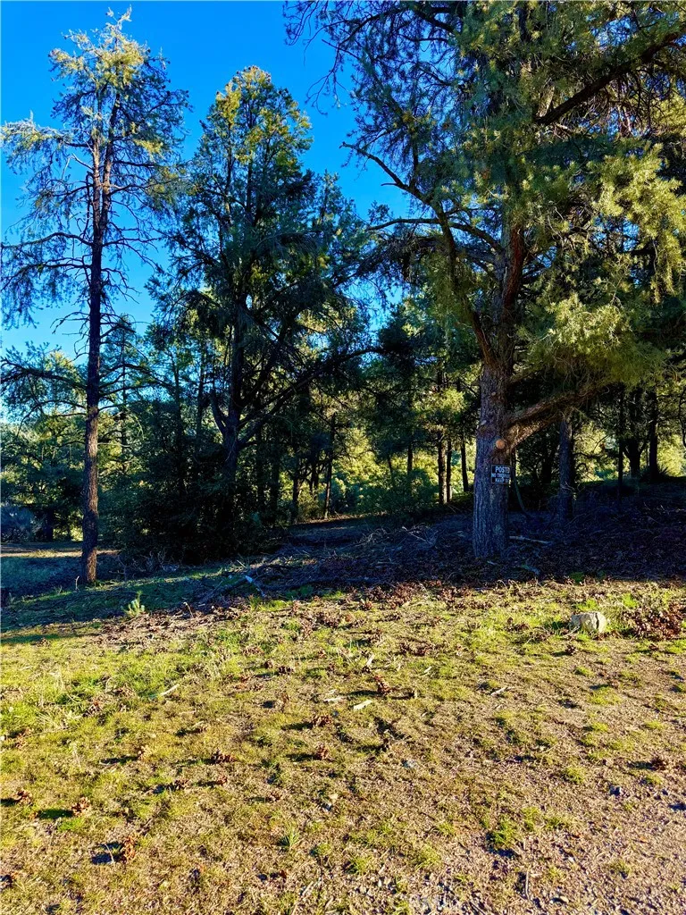 2608 Tirol, Pine Mountain Club, CA 93225 - Photo 2 of 5, Pine Mountain Club, CA