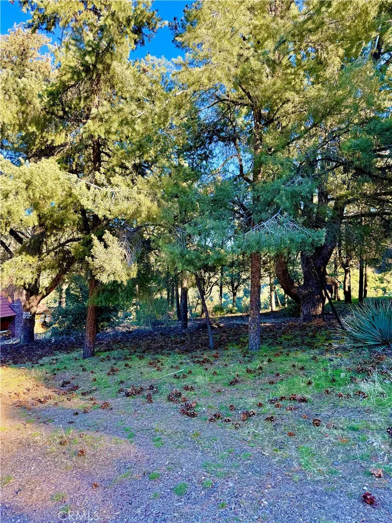 2608 Tirol, Pine Mountain Club, CA 93225 - Photo 3 of 5, Pine Mountain Club, CA