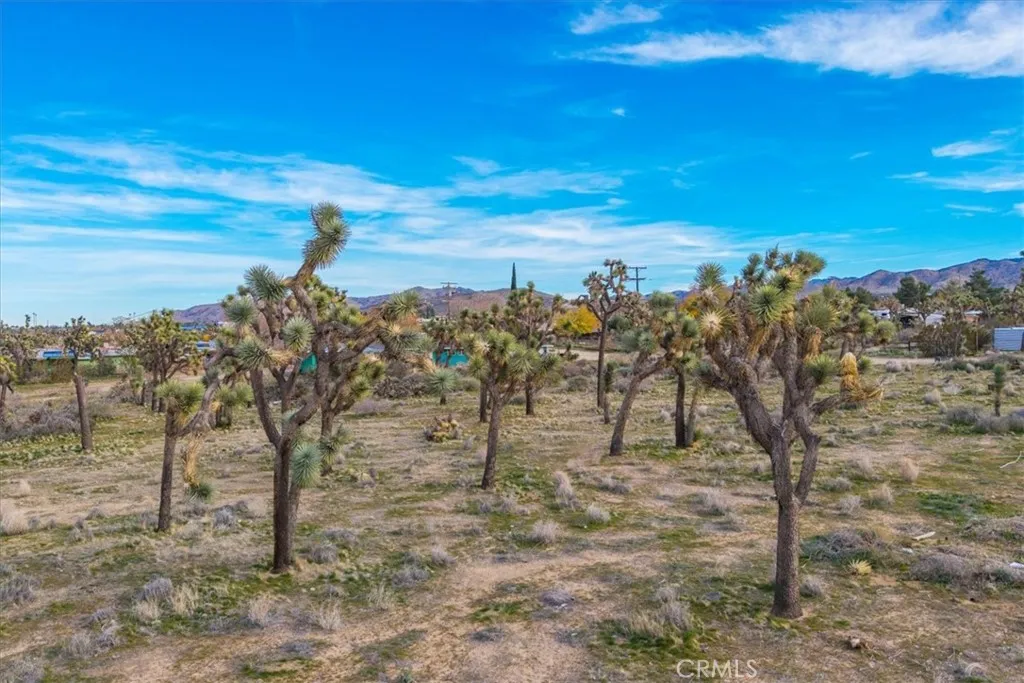 8129 Stardust, Yucca Valley, CA 92284 - Photo 5 of 25, Yucca Valley, CA