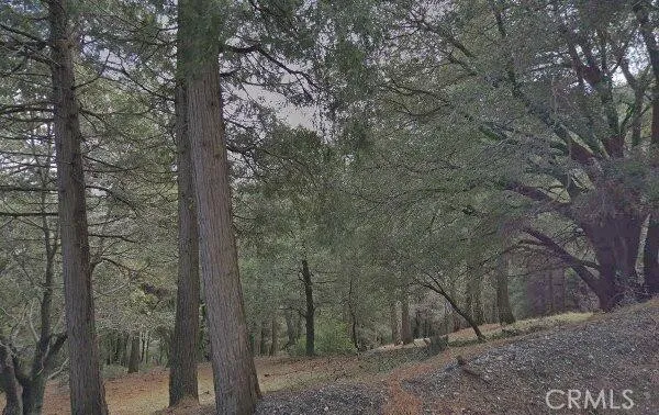 0 Burnt Mill Canyon, Cedarpines Park, CA 92322 - Photo 2 of 10, Cedarpines Park, CA