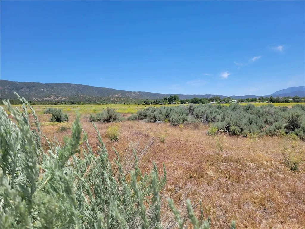 49 Bonita Vista, Anza, CA 92539 - Photo 4 of 7, Anza, CA