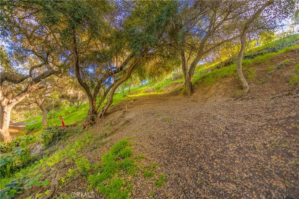 https://cdn.realtyfeed.com/cdn/127/306623535/b4aaf59884467ffaf491d5f4c990b6c7.webp