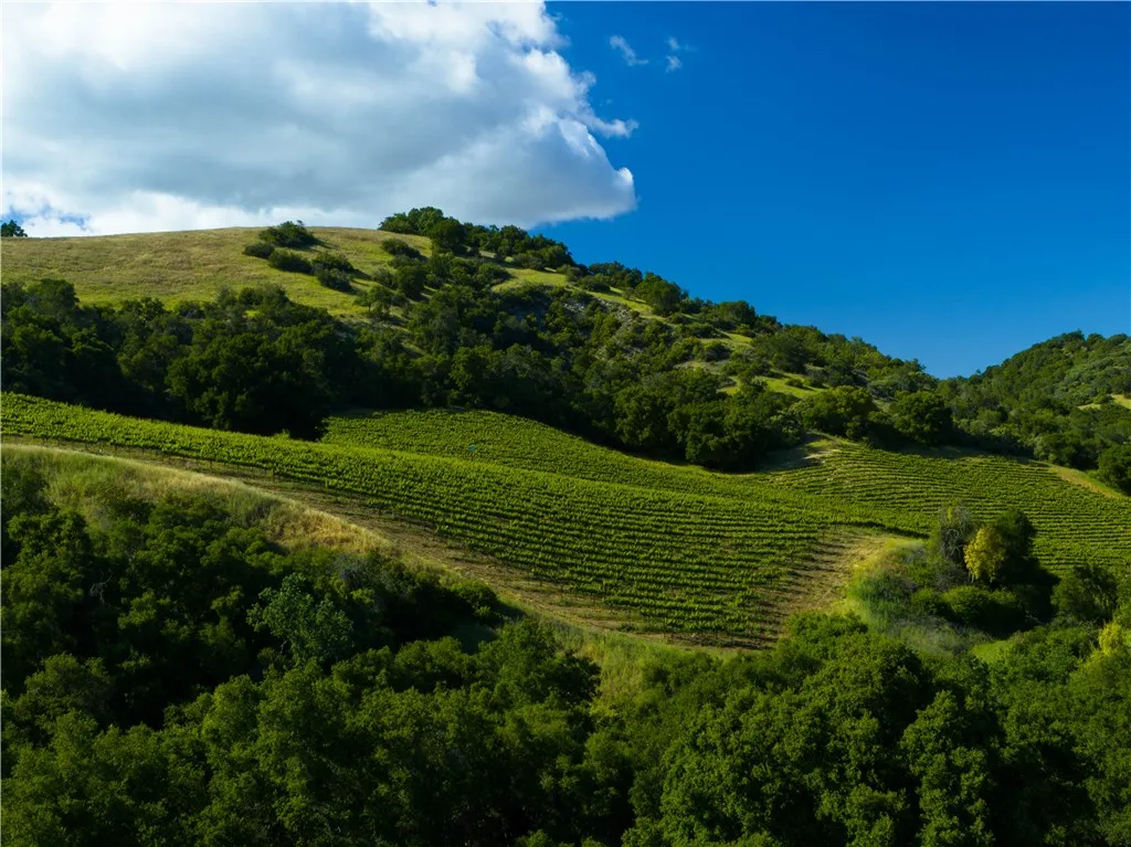 0 Adelaida Road, Paso Robles, CA 93446 - Photo 2 of 36, Paso Robles, CA