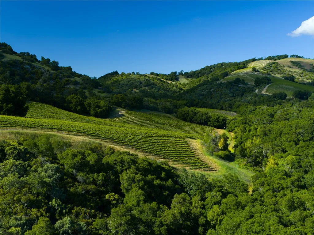 0 Adelaida Road, Paso Robles, CA 93446 - Photo 4 of 36, Paso Robles, CA
