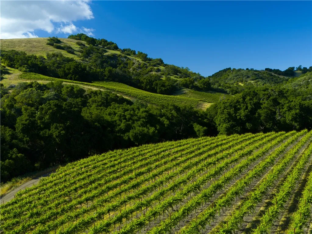 0 Adelaida Road, Paso Robles, CA 93446 - Photo 5 of 36, Paso Robles, CA