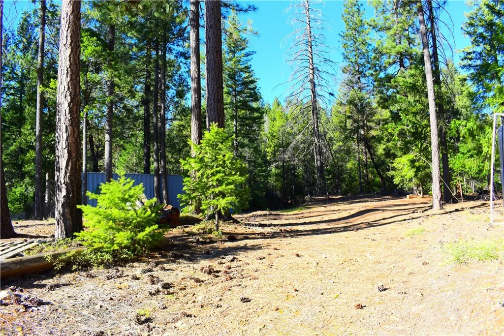 18286 Gaston, Nevada City, CA 95959 - Photo 5 of 54, Nevada City, CA