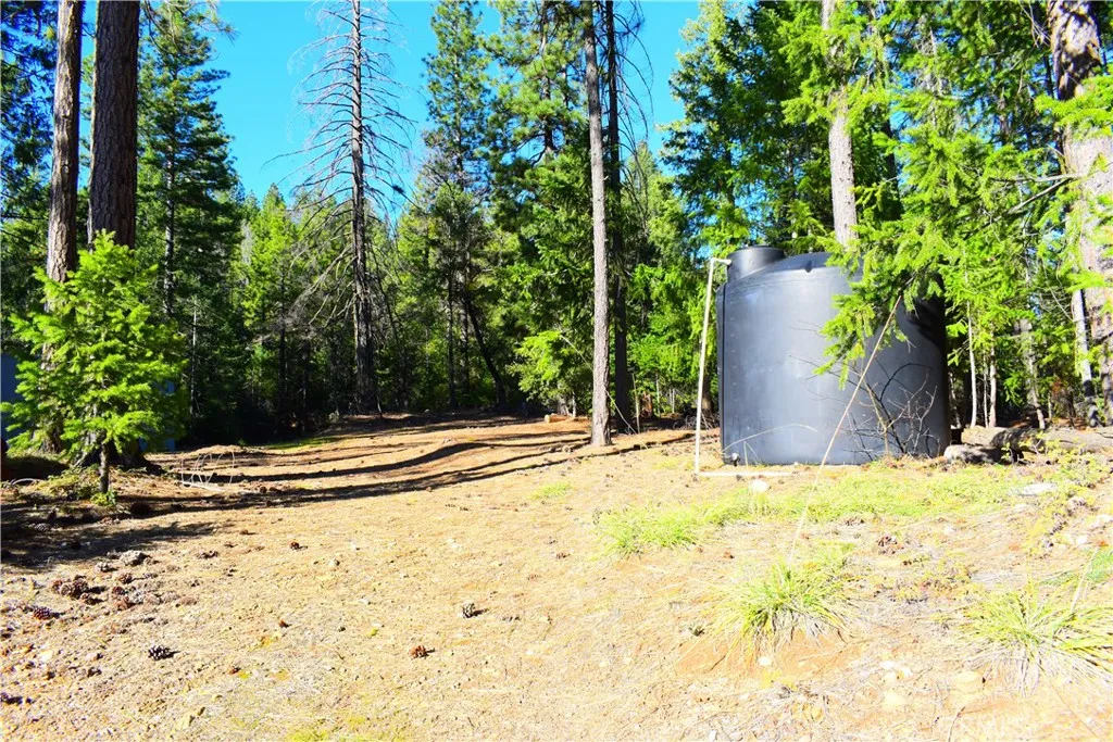 18286 Gaston, Nevada City, CA 95959 - Photo 4 of 54, Nevada City, CA