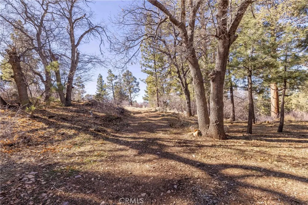 1110 Central, Big Bear City, CA 92314 - Photo 4 of 31, Big Bear City, CA