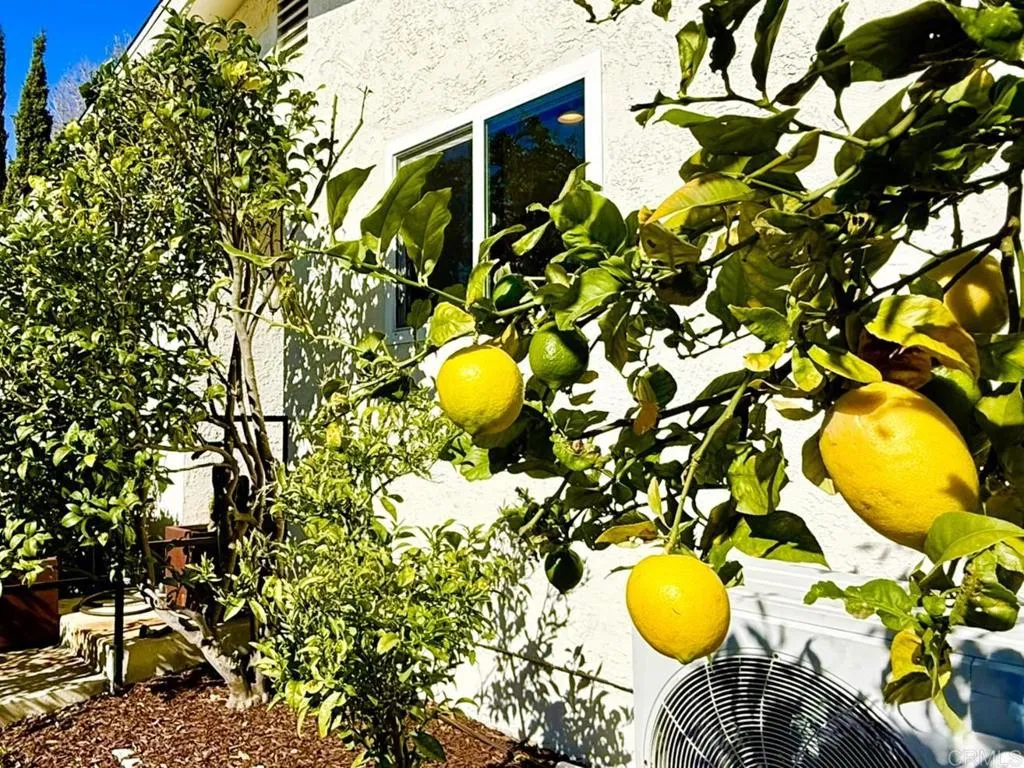 Photo #49: NDP2600653 Listing: Photo #49