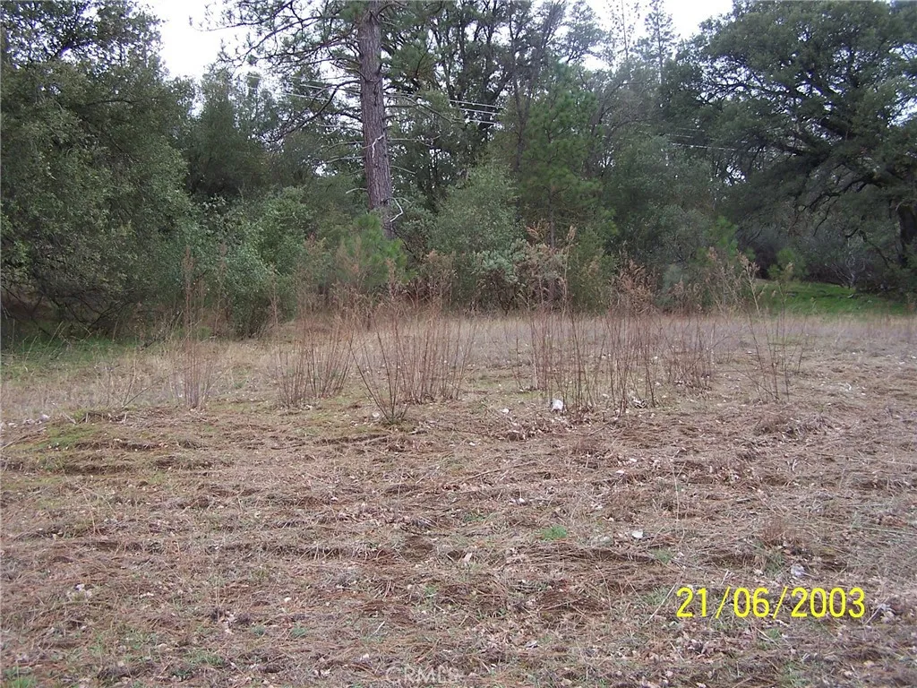 10 Jean Rd West, Oakhurst, CA 93644 - Photo 3 of 4, Oakhurst, CA