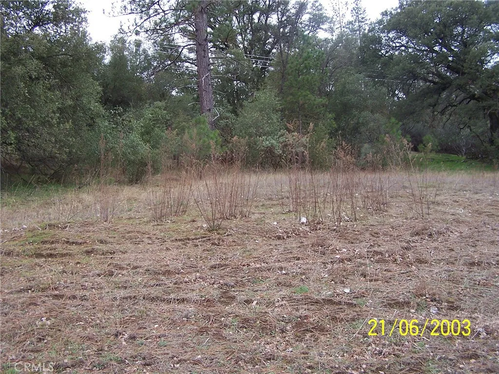 10 Jean Rd West, Oakhurst, CA 93644 - Photo 4 of 4, Oakhurst, CA