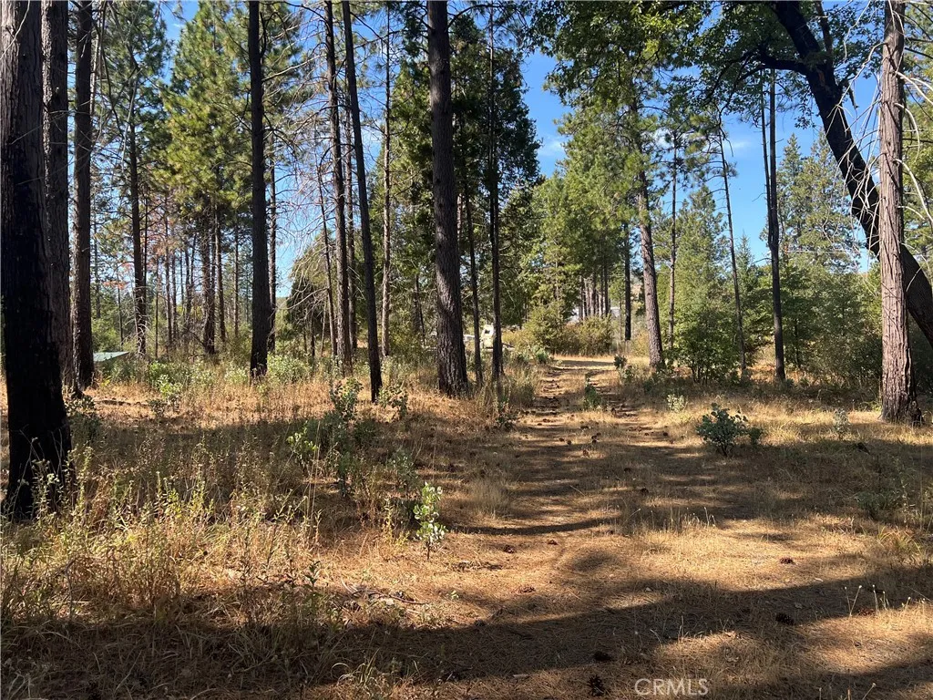 13477 Cirby Creek Road, Oroville, CA 95965 - Main photo, Oroville, CA