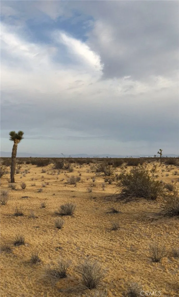 0 Hills, Adelanto, CA 92301 - Photo 4 of 5, Adelanto, CA