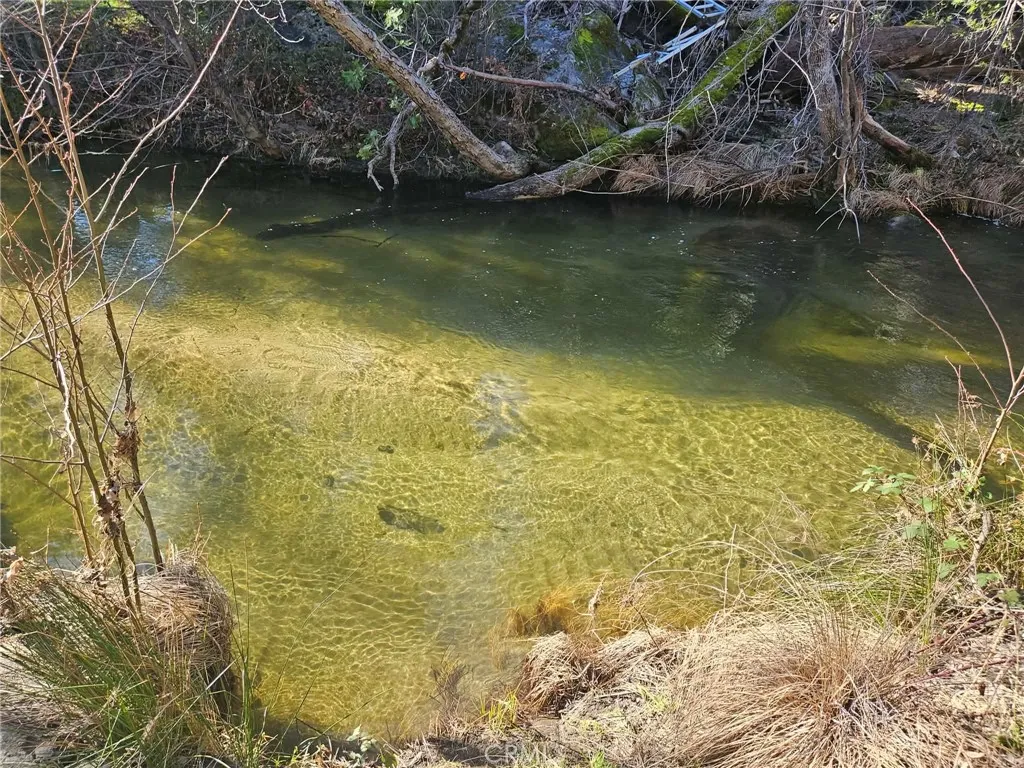 59366 Road 225, North Fork, CA 93643 - Photo 5 of 51, North Fork, CA