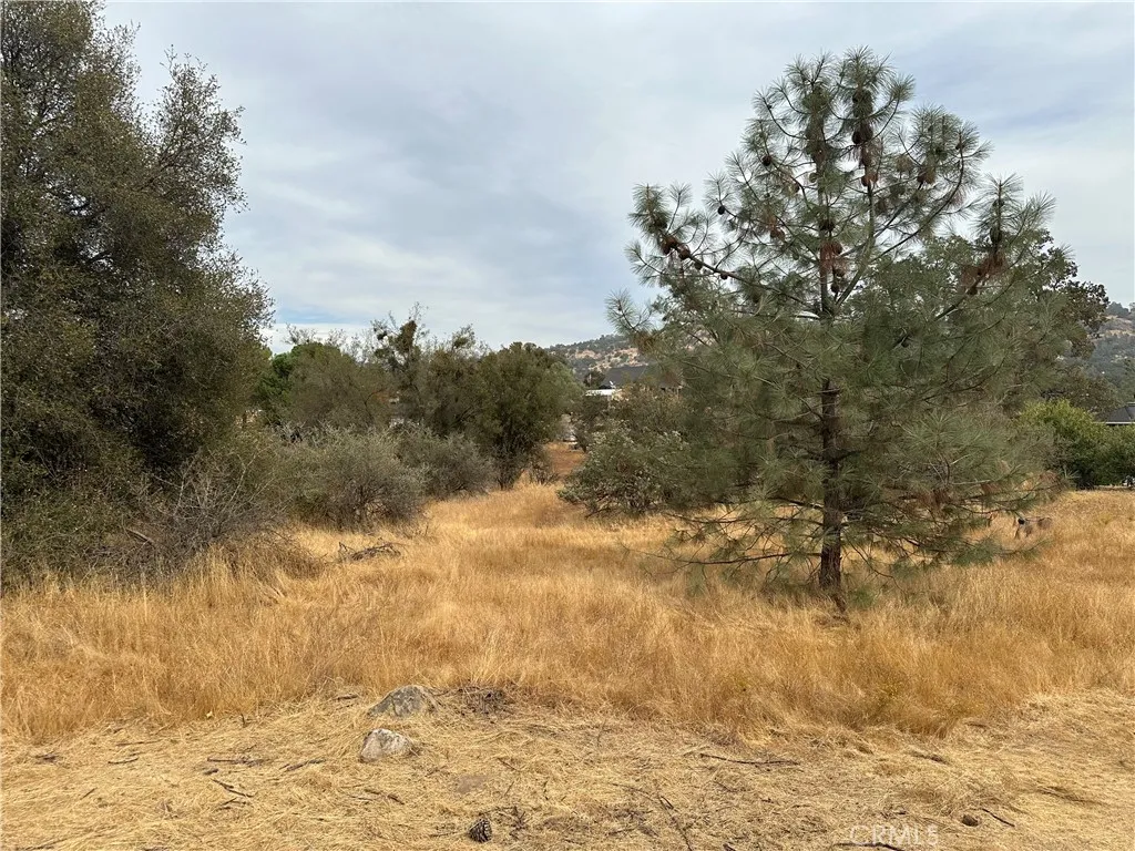 0 Jim Bowie, Coarsegold, CA 93614 - Photo 3 of 5, Coarsegold, CA
