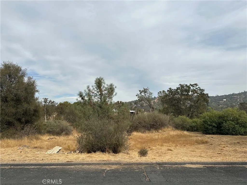 0 Jim Bowie, Coarsegold, CA 93614 - Main photo, Coarsegold, CA