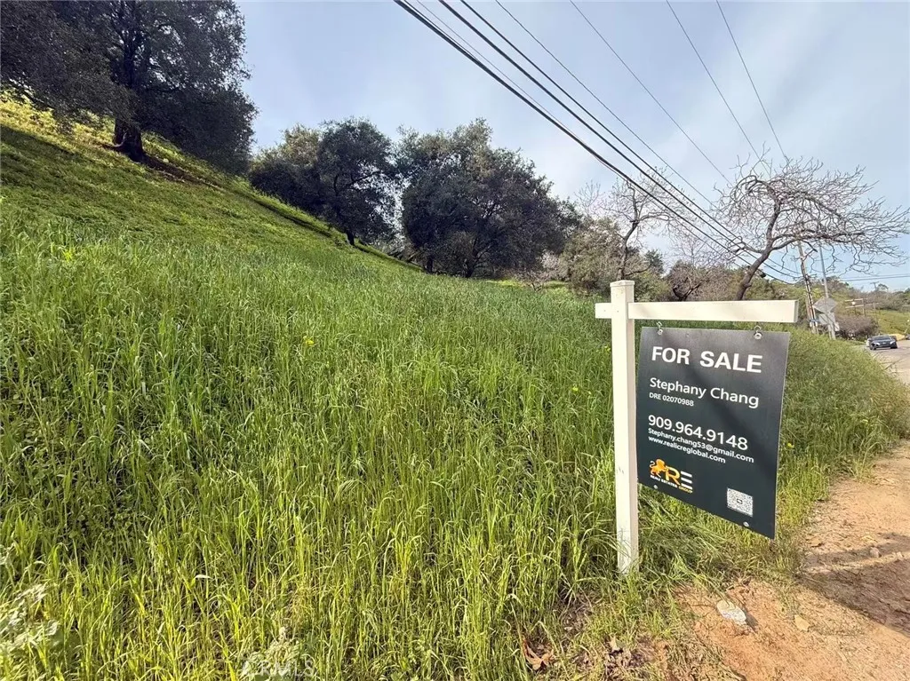 3669 Coldwater Canyon, Studio City, CA, 91604
