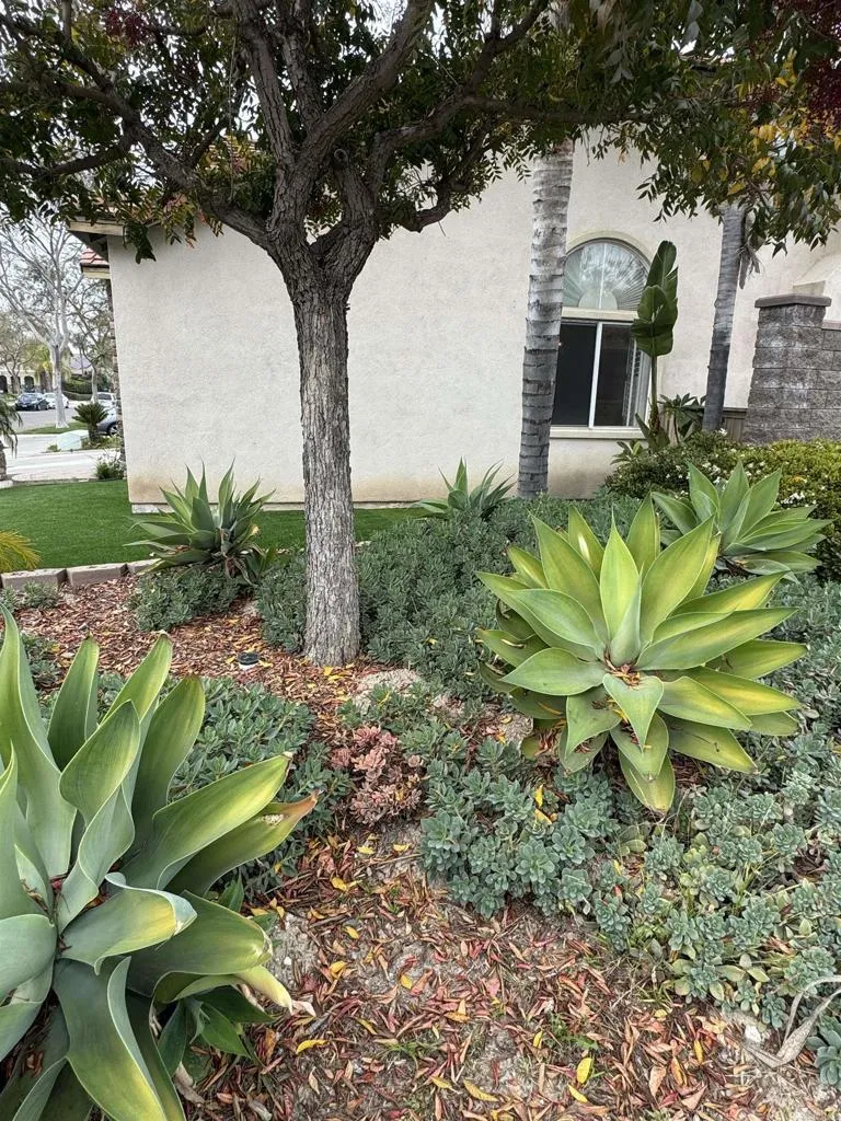https://cdn.realtyfeed.com/cdn/127/306626565/e7c9d9d5277bc1cca06a8caea601cca6.webp