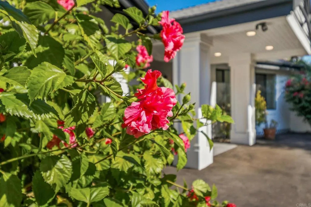 https://cdn.realtyfeed.com/cdn/127/306626592/4f636b07dd7eb393b3cef4303537e775.webp